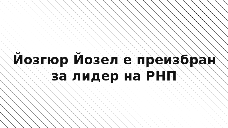 Йозгюр Йозел е преизбран за лидер на РНП