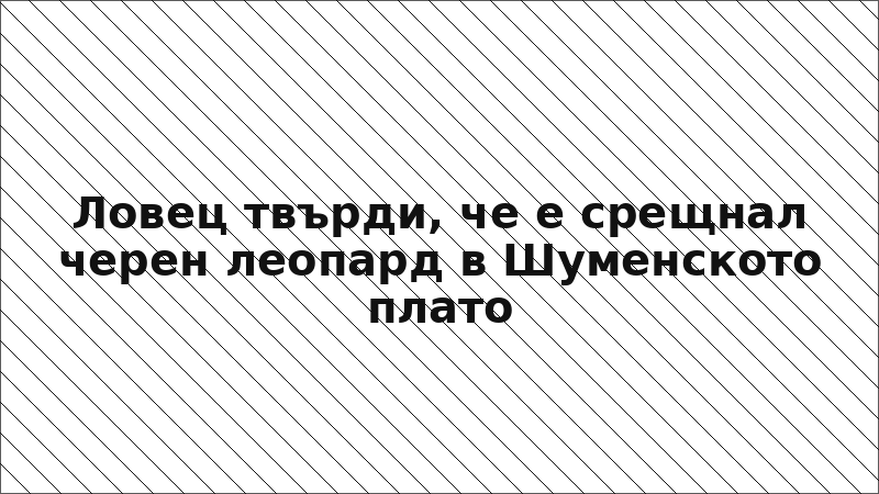 Ловец твърди, че е срещнал черен леопард в Шуменското плато