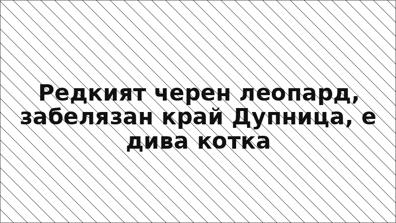 Редкият черен леопард, забелязан край Дупница, е дива котка