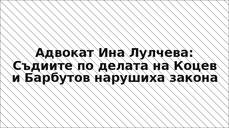 Адвокат Ина Лулчева: Съдиите по делата на Коцев и Барбутов нарушиха закона