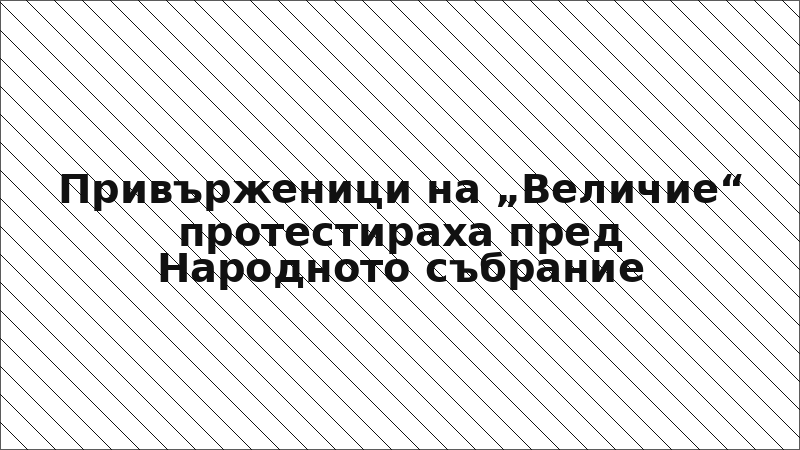 Привърженици на „Величие“ протестираха пред Народното събрание