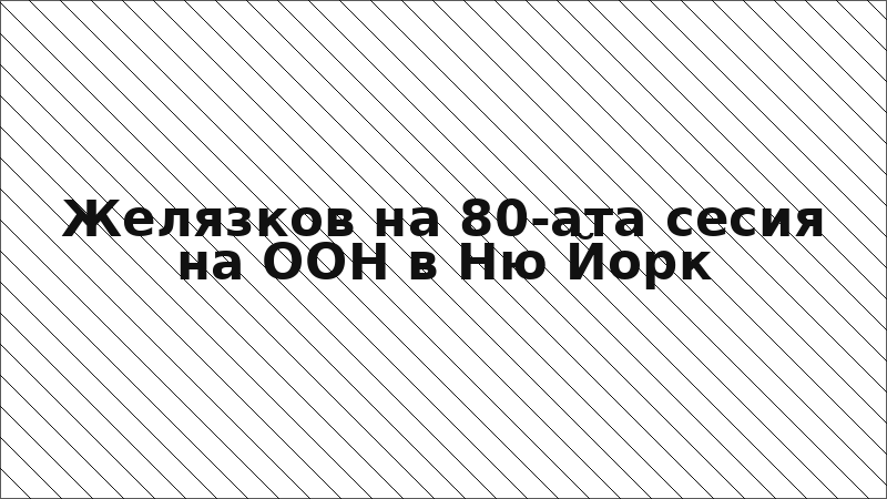 Желязков на 80-ата сесия на ООН в Ню Йорк
