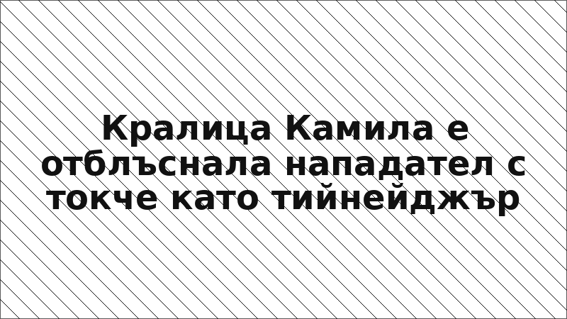 Кралица Камила е отблъснала нападател с токче като тийнейджър