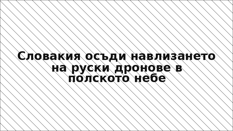 Словакия осъди навлизането на руски дронове в полското небе