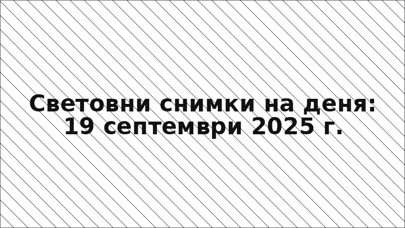 Световни снимки на деня: 19 септември 2025 г.
