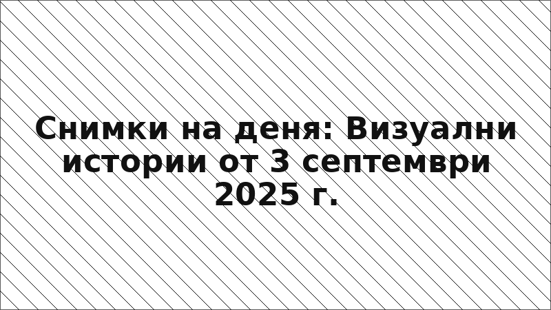 Снимки на деня: Визуални истории от 3 септември 2025 г.