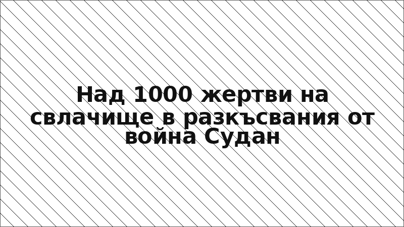 Над 1000 жертви на свлачище в разкъсвания от война Судан