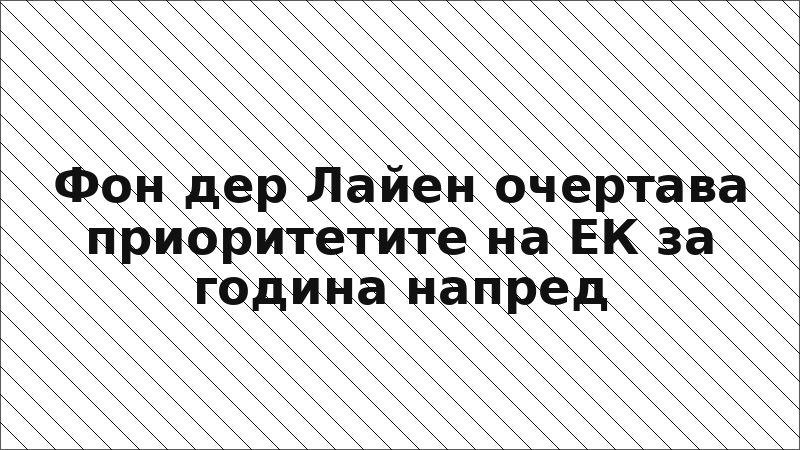 Фон дер Лайен очертава приоритетите на ЕК за година напред