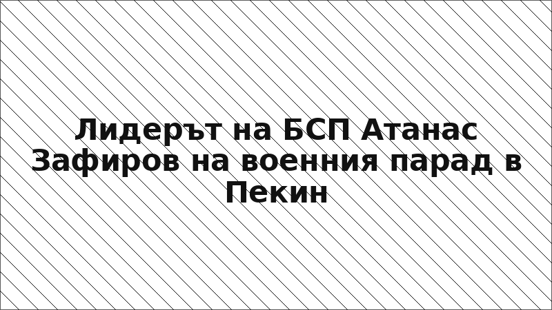 Лидерът на БСП Атанас Зафиров на военния парад в Пекин