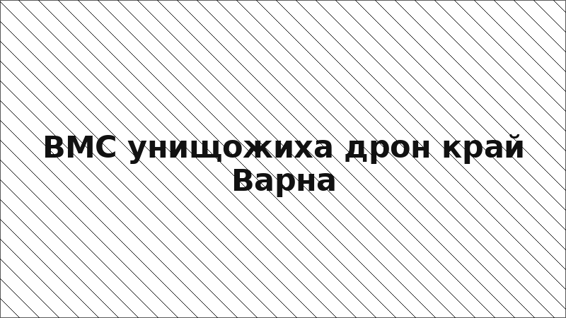 ВМС унищожиха дрон край Варна