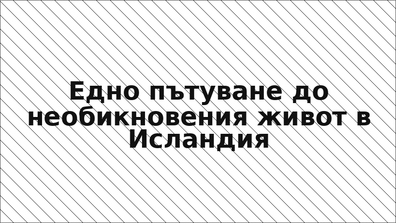 Едно пътуване до необикновения живот в Исландия