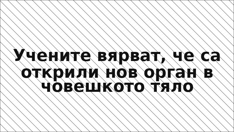 Учените вярват, че са открили нов орган в човешкото тяло