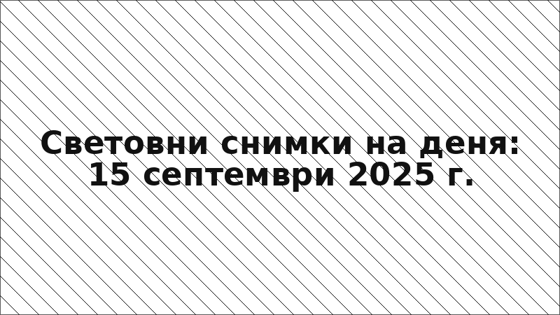 Световни снимки на деня: 15 септември 2025 г.