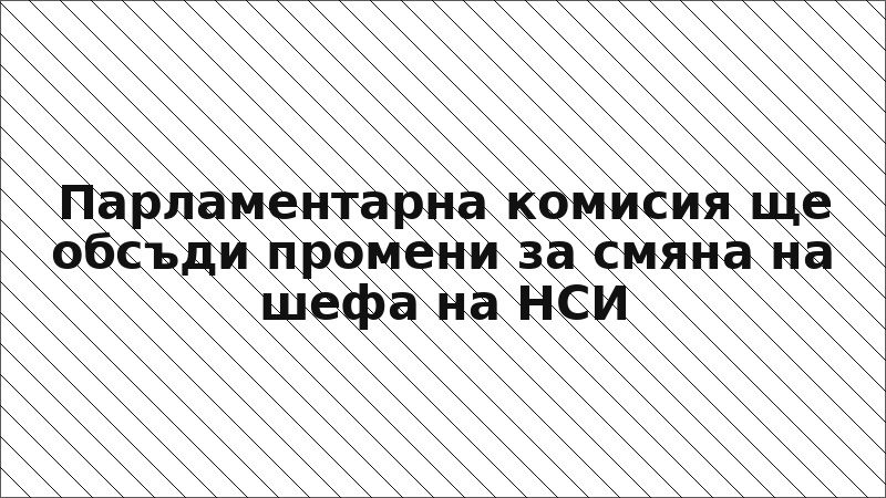 Парламентарна комисия ще обсъди промени за смяна на шефа на НСИ