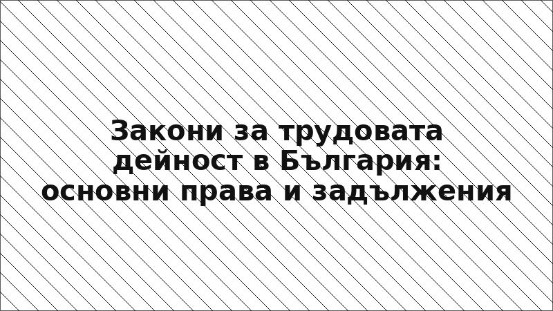 Закони за трудовата дейност в България: основни права и задължения