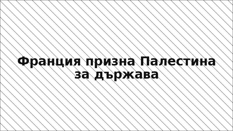 Франция призна Палестина за държава