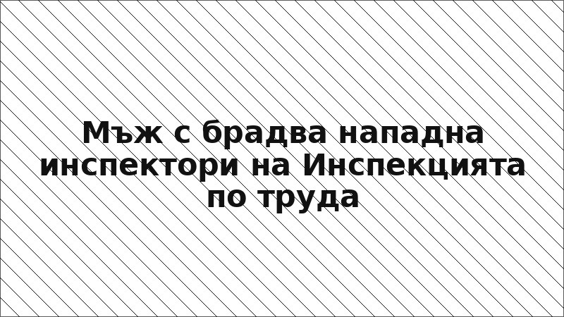Мъж с брадва нападна инспектори на Инспекцията по труда