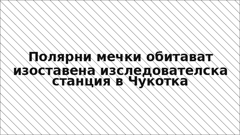 Полярни мечки обитават изоставена изследователска станция в Чукотка