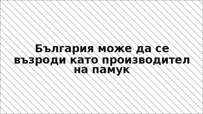 България може да се възроди като производител на памук