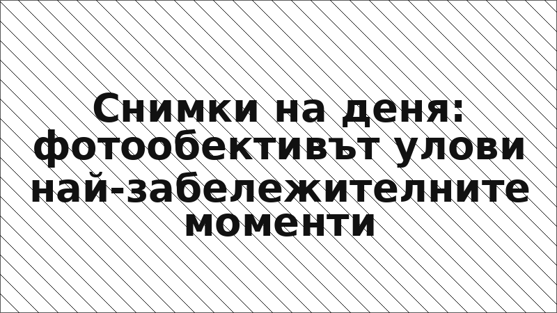 Снимки на деня: фотообективът улови най-забележителните моменти