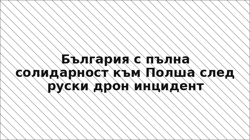 България с пълна солидарност към Полша след руски дрон инцидент