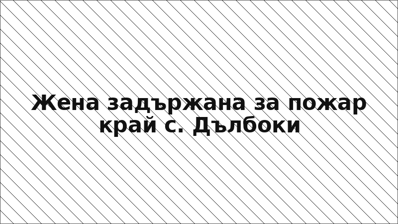 Жена задържана за пожар край с. Дълбоки