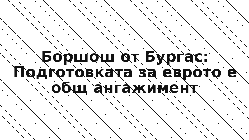 Боршош от Бургас: Подготовката за еврото е общ ангажимент