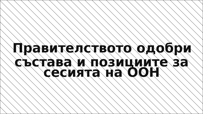 Правителството одобри състава и позициите за сесията на ООН