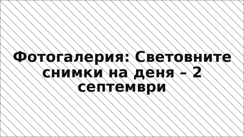 Фотогалерия: Световните снимки на деня – 2 септември