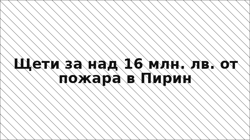 Щети за над 16 млн. лв. от пожара в Пирин