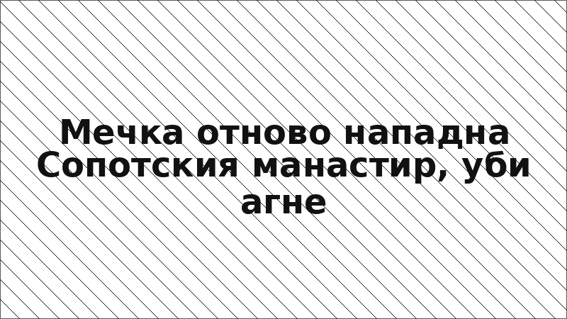 Мечка отново нападна Сопотския манастир, уби агне