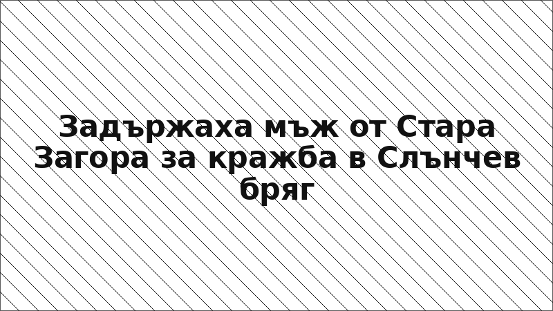 Задържаха мъж от Стара Загора за кражба в Слънчев бряг