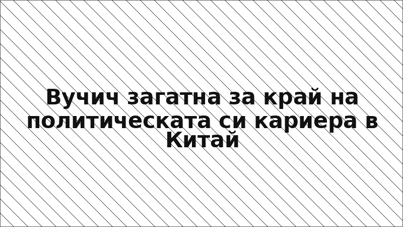 Вучич загатна за край на политическата си кариера в Китай