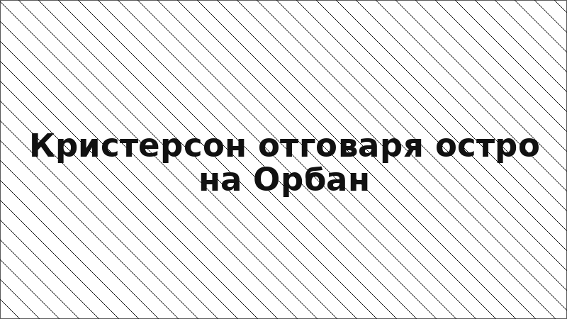 Кристерсон отговаря остро на Орбан
