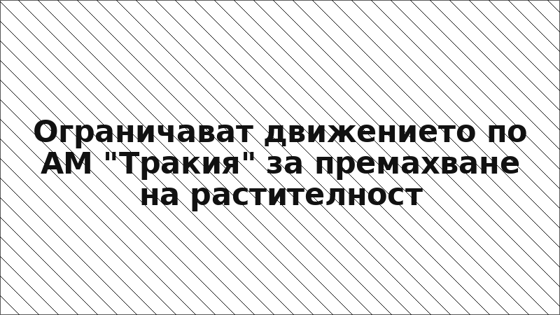 Ограничават движението по АМ "Тракия" за премахване на растителност
