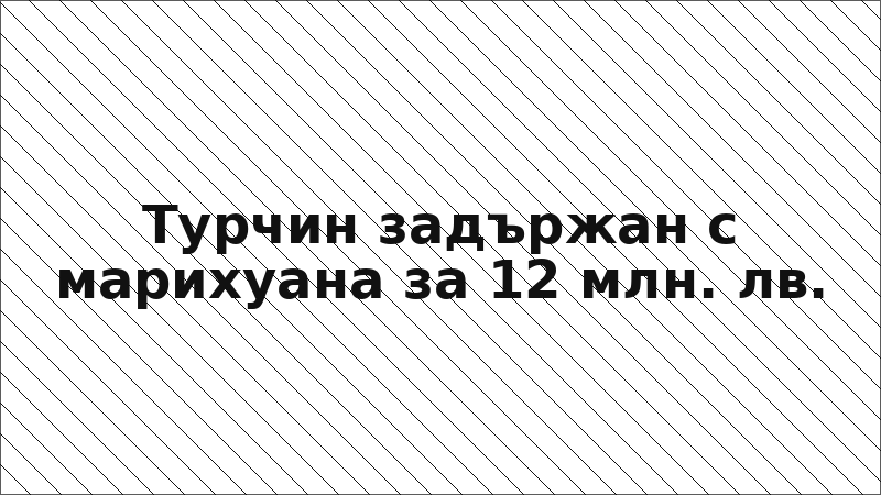 Турчин задържан с марихуана за 12 млн. лв.
