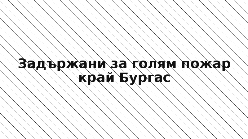 Задържани за голям пожар край Бургас