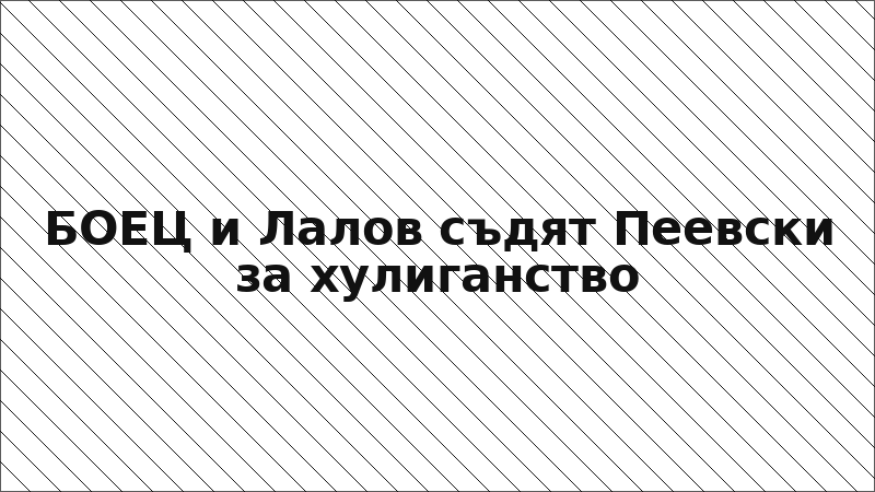 БОЕЦ и Лалов съдят Пеевски за хулиганство