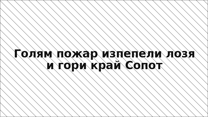 Голям пожар изпепели лозя и гори край Сопот