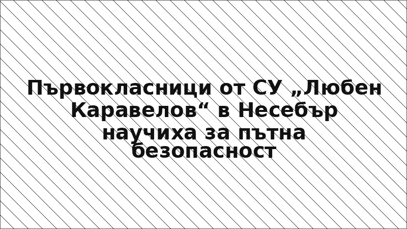 Първокласници от СУ „Любен Каравелов“ в Несебър научиха за пътна безопасност