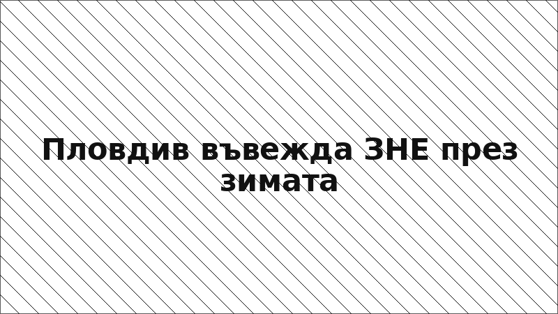 Пловдив въвежда ЗНЕ през зимата