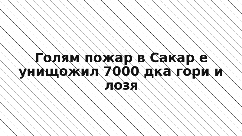 Голям пожар в Сакар е унищожил 7000 дка гори и лозя