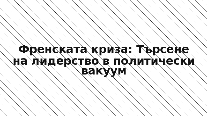 Френската криза: Търсене на лидерство в политически вакуум