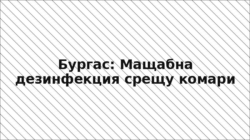 Бургас: Мащабна дезинфекция срещу комари