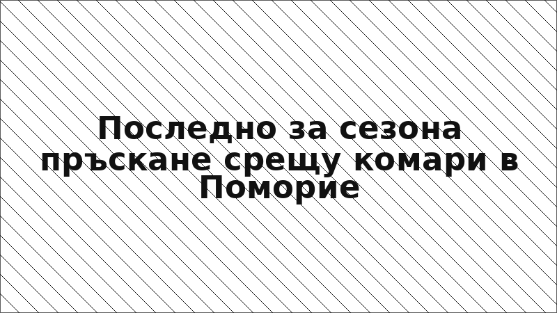 Последно за сезона пръскане срещу комари в Поморие
