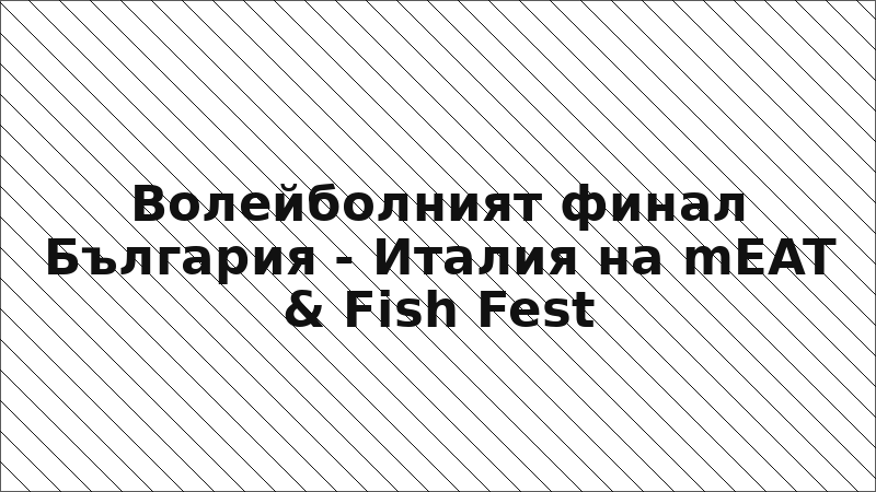Волейболният финал България - Италия на mEAT & Fish Fest