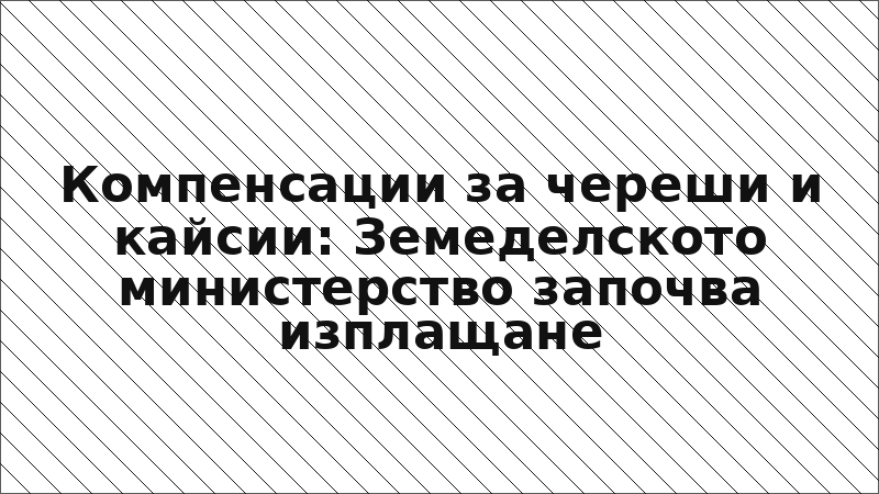 Компенсации за череши и кайсии: Земеделското министерство започва изплащане