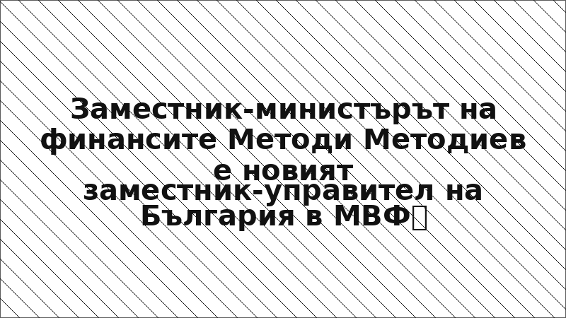 Заместник-министърът на финансите Методи Методиев е новият заместник-управител на България в МВФ