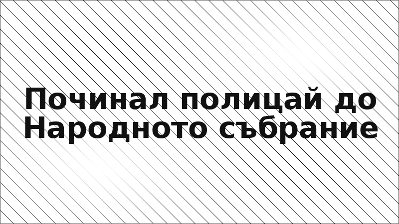 Починал полицай до Народното събрание