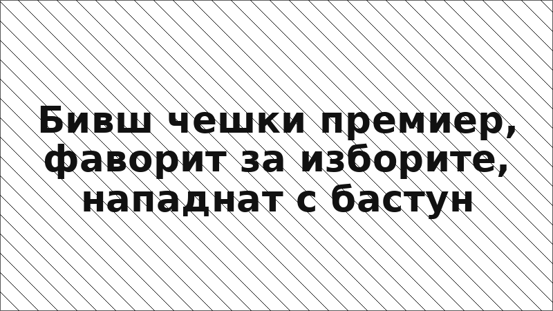 Бивш чешки премиер, фаворит за изборите, нападнат с бастун